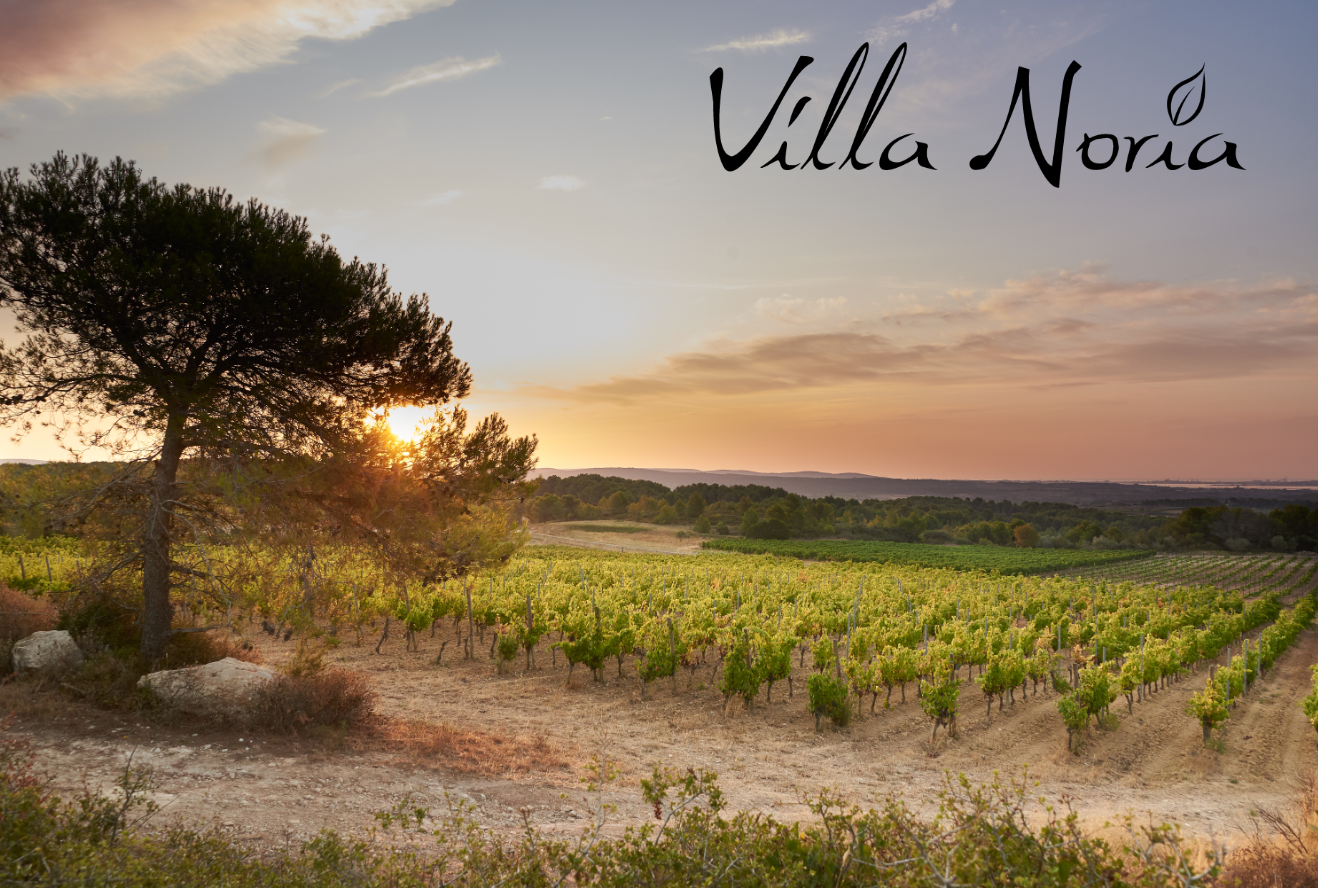 Domaine Villa Noria