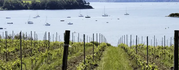 2050, où (en) sera la vigne ? 2050, où (en) sera la vigne ?